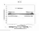 Fig. 12 - Microfluidic liposome synthesis, purification and active drug loading
