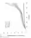 Fig. 03 - Formulations of pyrimidinedione derivative compounds