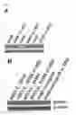 Fig. 05 - COMBINATION THERAPY METHODS FOR TREATING PROLIFERATIVE DISEASES