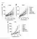 Fig. 07 - COMBINATION THERAPY METHODS FOR TREATING PROLIFERATIVE DISEASES