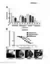 Fig. 05 - Modulators of GTPases and their use