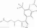 Fig. 53 - PRMT1 inhibitors and uses thereof