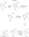 Fig. 64 - PRMT1 inhibitors and uses thereof