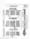 Fig. 05 - Diagnosis methods, diagnostic agents, and therapeutic agents against alzheimer's disease and frontotemporal lobar degeneration, and screening methods for these agents