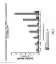 Fig. 02 - Thio compounds