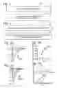 Fig. 02 - Composition for reducing nervous system injury and method of making and use thereof