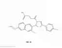 Fig. 06 - Materials and method for inhibiting replication protein A and uses thereof