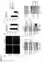 Fig. 05 - METHODS OF TREATING MITOCHONDRIAL DYSFUNCTION