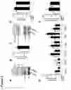 Fig. 06 - METHODS OF TREATING MITOCHONDRIAL DYSFUNCTION