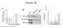 Fig. 20 - METHODS OF TREATING MITOCHONDRIAL DYSFUNCTION