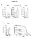 Fig. 40 - METHODS OF TREATING MITOCHONDRIAL DYSFUNCTION