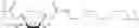Fig. 65 - MAIN CHAIN POLYAMINES