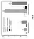 Fig. 11 - ADMINISTRATION OF A THIOL-BASED CHEMOPROTECTANT COMPOUND