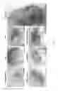 Fig. 05 - Methods and compositions to modulate hair growth