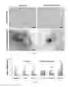 Fig. 10 - Methods and compositions to modulate hair growth