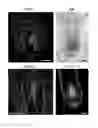 Fig. 12 - Methods and compositions to modulate hair growth