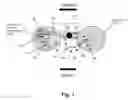 Fig. 02 - LYMPHOCYTE MEDIATED DELIVERY OF PROTEINS