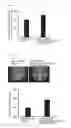 Fig. 06 - Composition including kirenol or siegesbeckia herba extract for muscle function improvement or exercise ability enhancement