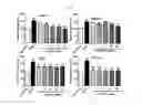 Fig. 06 - Pharmaceutical composition for preventing or treating diabetic complications and angioedema, containing natural mixture extract as active ingredient
