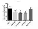 Fig. 22 - Pharmaceutical composition for preventing or treating diabetic complications and angioedema, containing natural mixture extract as active ingredient