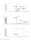 Fig. 02 - Composition of extracts from the genus Hippeastrum and the use of their components for the production of pharmaceuticals and dietary supplements