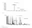 Fig. 03 - Composition of extracts from the genus Hippeastrum and the use of their components for the production of pharmaceuticals and dietary supplements