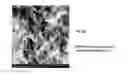 Fig. 10 - Crosslinked Peptide Hydrogels