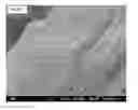 Fig. 13 - Crosslinked Peptide Hydrogels