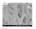 Fig. 14 - Crosslinked Peptide Hydrogels