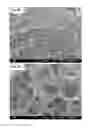 Fig. 16 - Crosslinked Peptide Hydrogels
