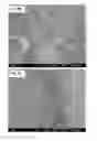 Fig. 18 - Crosslinked Peptide Hydrogels