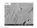 Fig. 20 - Crosslinked Peptide Hydrogels