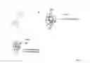 Fig. 32 - Crosslinked Peptide Hydrogels