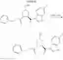 Fig. 22 - SMAC Mimetic