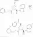 Fig. 23 - SMAC Mimetic