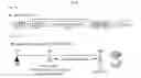Fig. 16 - SYSTEMIC DELIVERY OF VIRUS VECTORS ENCODING UROCORTIN-2 AND RELATED GENES TO TREAT DIABETES-RELATED CARDIAC DYSFUNCTIONS AND CONGESTIVE HEART FAILURE