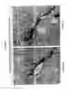 Fig. 06 - Delivery of therapeutic compounds to the brain and other tissues