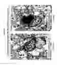 Fig. 07 - Delivery of therapeutic compounds to the brain and other tissues