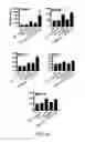 Fig. 07 - Induced activation in dendritic cells
