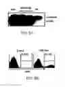 Fig. 12 - Induced activation in dendritic cells