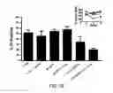 Fig. 14 - Induced activation in dendritic cells