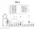 Fig. 13 - RSV F protein mutants