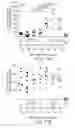 Fig. 12 - Non-toxic adjuvant formulation comprising a monophosphoryl lipid A (MPLA)-containing liposome composition and a saponin