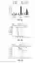 Fig. 04 - VACCINES WITH INTERLEUKIN-17 AS AN ADJUVANT