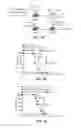 Fig. 05 - VACCINES WITH INTERLEUKIN-17 AS AN ADJUVANT