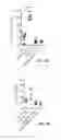 Fig. 06 - VACCINES WITH INTERLEUKIN-17 AS AN ADJUVANT