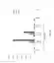 Fig. 19 - VACCINES WITH INTERLEUKIN-17 AS AN ADJUVANT