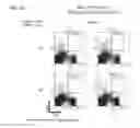 Fig. 05 - Immunostimulator and method for producing the same
