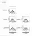 Fig. 10 - Immunostimulator and method for producing the same