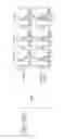 Fig. 19 - Immunostimulator and method for producing the same